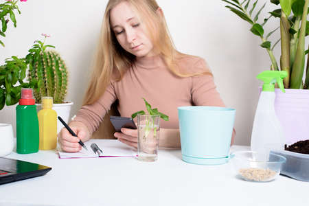 the process of planting a houseplant by a woman in a pot for germination at home. step-by-step process to take photos on your phone, online flower planting.の写真素材