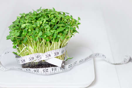 micro-green on the scale for measuring body weight, centimeter tape for the body, clock on a light background. means and items for a diet, a healthy lifestyle concept . vegan superfood trendの写真素材