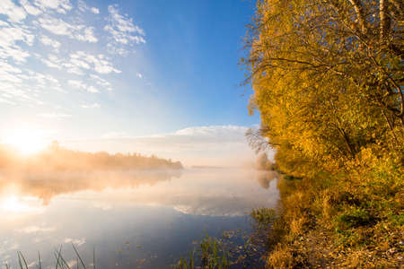 autumn landscape river in the morning fog over the water. panorama of the river in autumn. the yellow trees are reflected in the waterの写真素材