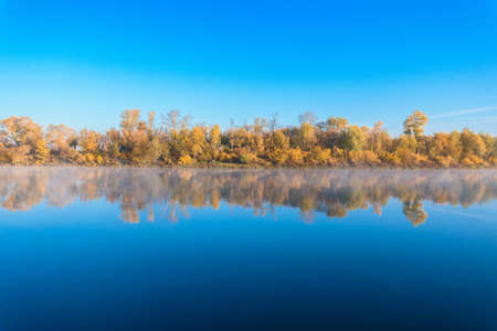 autumn landscape river in the morning fog over the water. panorama of the river in autumn. the yellow trees are reflected in the waterの写真素材