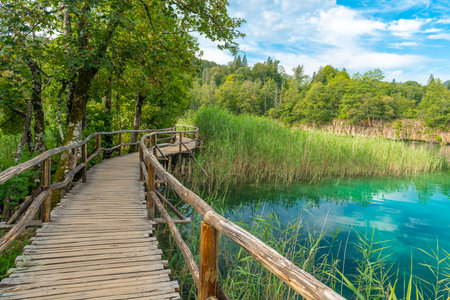 A wood quarry leads across a lake in the Plitvice Lakes National Park.の写真素材