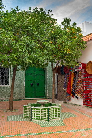 Orange tree in a courtyard with a fountain and a green door