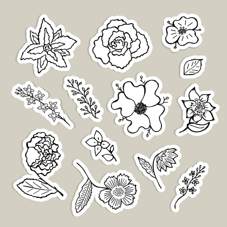 Collection of sketch flowers. Hand drawing black and white objects on a beige background. Set of stickers, pins, patches in cartoon style.のイラスト素材