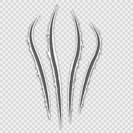 Black realistic claws animal scratch scrape track. Cat tiger scratches paw shape. Four nails trace. Damaged cloth. Ragged edges. Beast paw. Transparent background. Isolated. Vector illustration.のイラスト素材
