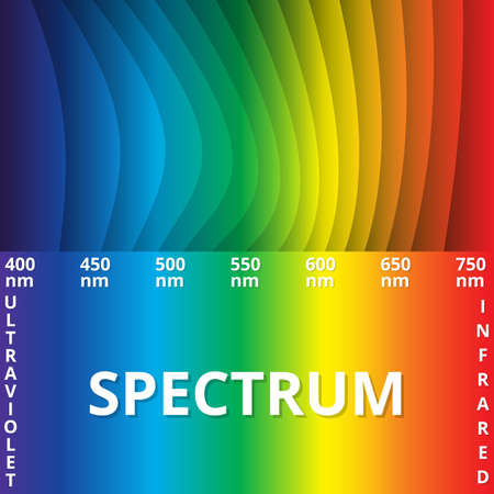 Abstract colorfull background. Rainbow. Visible spectrum. Childish design template. Vector Illustration. EPS10. Spectral flowing waves. Design element for technology, science or modern conceptのイラスト素材