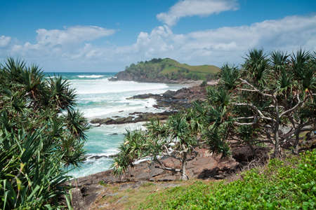 australian seascape during the day with native trees in foregroundの写真素材