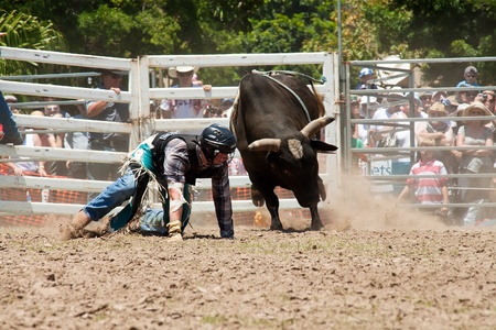 GOLD COAST, AUSTRALIA - JANUARY 26, 2011: Unidentified cowboy run away from dangerous bull on January 26,2011 in Gold Coast, Queensland, Australia. The rodeo show was part of Australia Day celebration.のeditorial素材