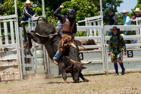 GOLD COAST, AUSTRALIA - JANUARY 26, 2011: Unidentified cowboy rides dangerous bull on January 26,2011 in Gold Coast, Queensland, Australia. The rodeo show was part of Australia Day celebration.のeditorial素材