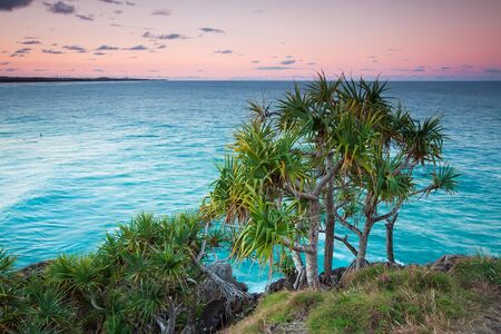australian seascape at twilight with native trees (cabarita,nsw,australia)の写真素材
