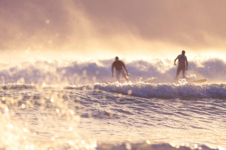surfers in the morning  in Burleigh Heads  Gold Coast, QLD, Australia の写真素材