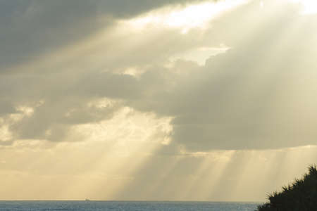 Australian seashore at sunrise (Gold Coast, Burleigh Heads, QLD, Australia)の写真素材