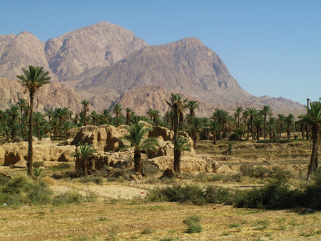 suburbs of Tabas,Central Iran,April