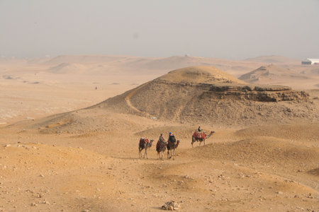 Egypt. Desert. At Pyramids