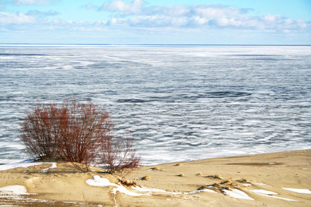 Russia. Coastline in winter on the Kurshskaya kosa. Beach の写真素材