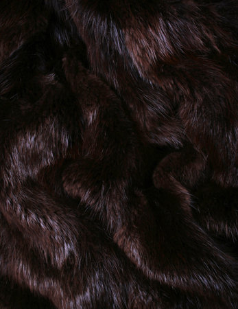 The  brown fur of a beaver can use as a background texture 