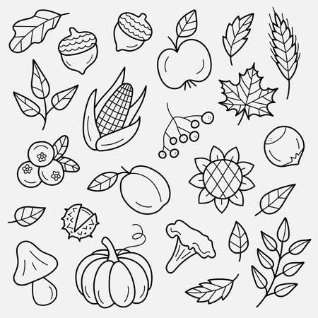 Autumn harvest symbols. Set of autumn elements: leaves, berries, fruits, vegetables, mushrooms, acorns. Hand-drawn, sketch. Vector illustration in doodle style.のイラスト素材