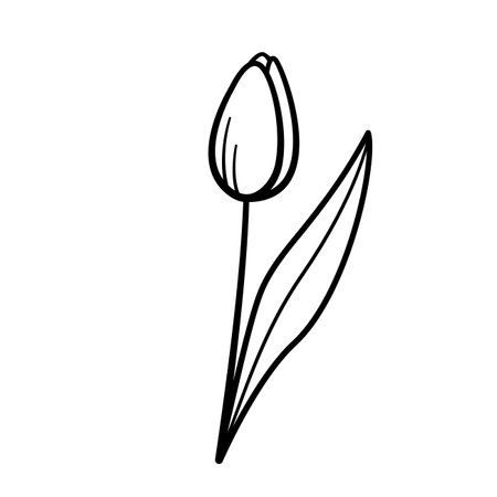 Hand drawn icon of tulip. Sketch doodle style. Isolated vector illustration.のイラスト素材