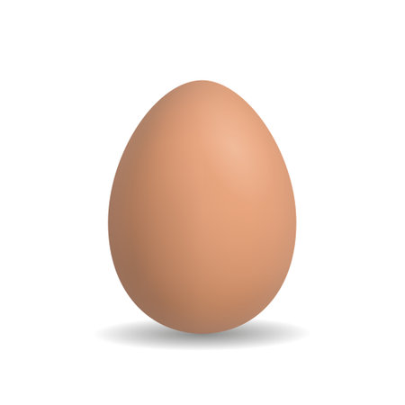 Vector realistic chicken egg isolated on white background. 3D illustration.のイラスト素材