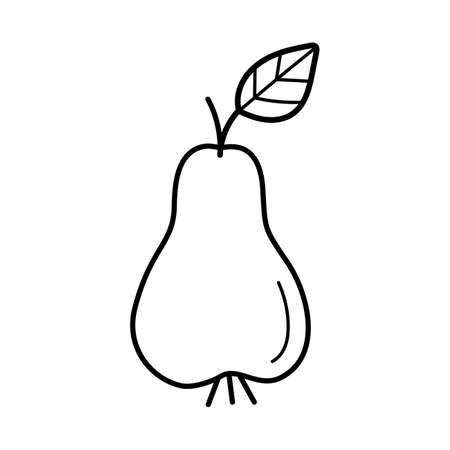 Pear. Hand drawn sketch icon of fruits. Isolated vector illustration in doodle line style.のイラスト素材