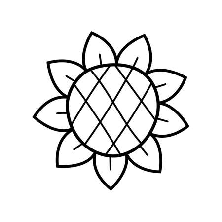 Sunflower. Hand drawn sketch botanical element. Isolated vector illustration in doodle line style.のイラスト素材