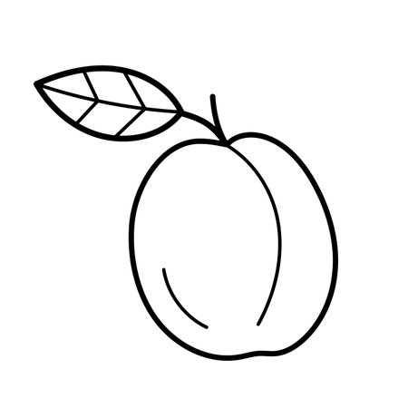 Plum. Hand drawn sketch icon of tropical fruits. Isolated vector illustration in doodle line style.のイラスト素材