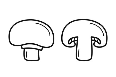Champignon. Hand drawn sketch icon of whole and half mushroom. Isolated vector illustration in doodle line style.のイラスト素材