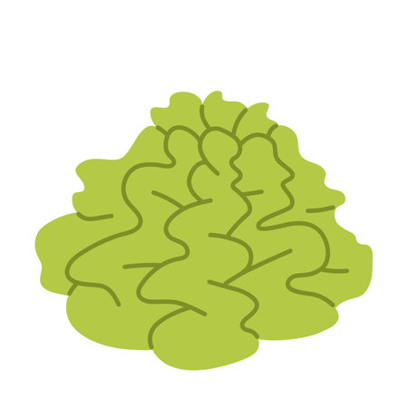 wasabi. Japanese horseradish for sushi. Japanese food element. Hand-drawn colored flat vector illustration isolated on white background.のイラスト素材