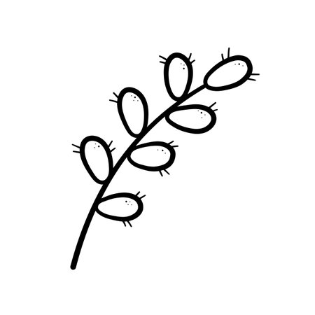 Spring twig easter pussy willow tree. Hand drawn icon in doodle line style. Isolated vector illustration.のイラスト素材