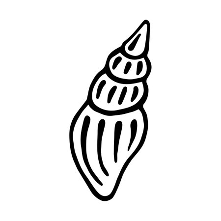 seashell. Hand-drawn stylized image of seashell. Graphic black and white image isolated on white background. vector illustration.のイラスト素材
