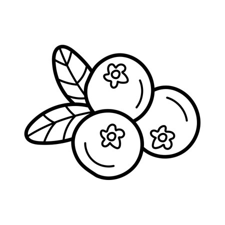Huckleberry. Outline icon of berries and leaves. Blueberry or cranberries in a simple doodle style. hand drawn sketch style. Vector isolated illustration.のイラスト素材