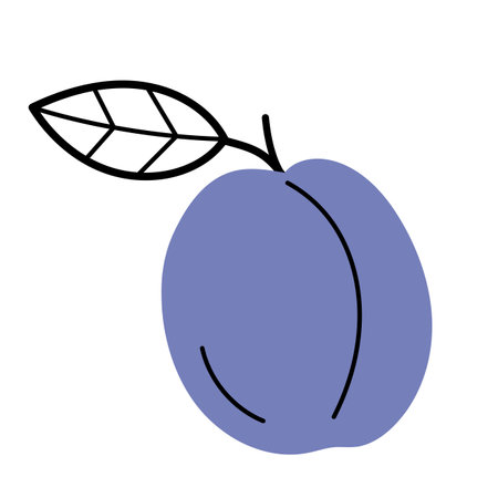 Whole ripe plum with twig and leaf. Hand drawn sketch icon of fruits. Isolated vector illustration in doodle line style.のイラスト素材