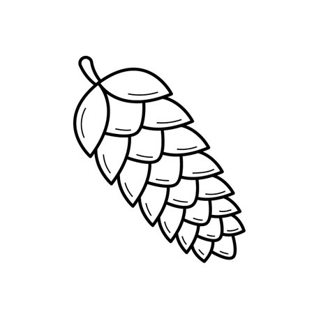 Fir cone. Hand drawn sketch icon of botanical element. Vector illustration in doodle line style isolated on white background.のイラスト素材