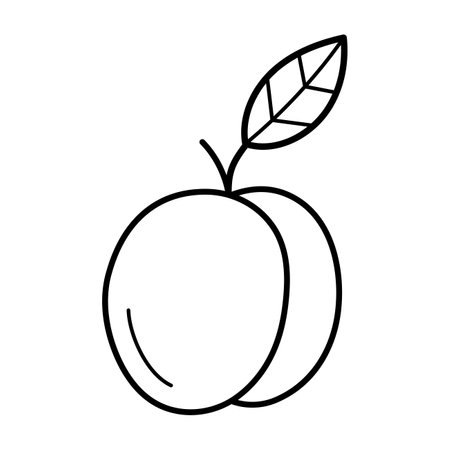 Peach. Hand drawn sketch icon of tropic fruit. Vector illustration in doodle line style isolated on white background.のイラスト素材