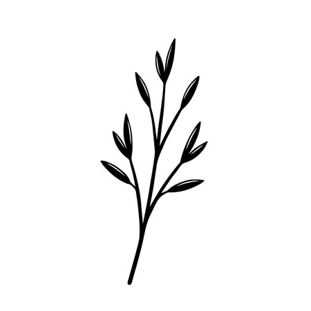 Branch of a plant. Hand drawn botanical illustration isolated on white background. Vector illustration.のイラスト素材