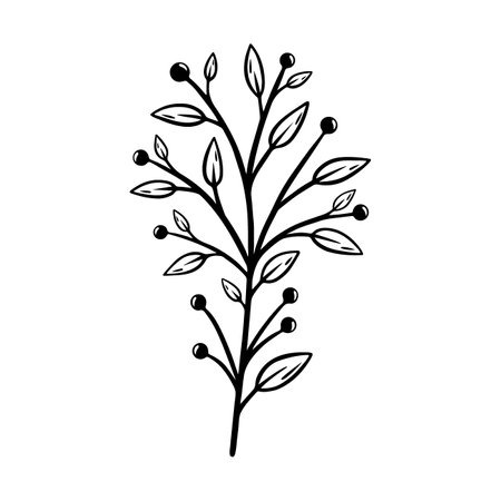 Branch of a plant with berries and leaves. Hand drawn botanical element. Vector illustration isolated on white background.のイラスト素材