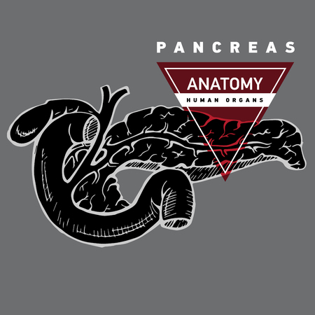 Hand grawing illustration.のイラスト素材