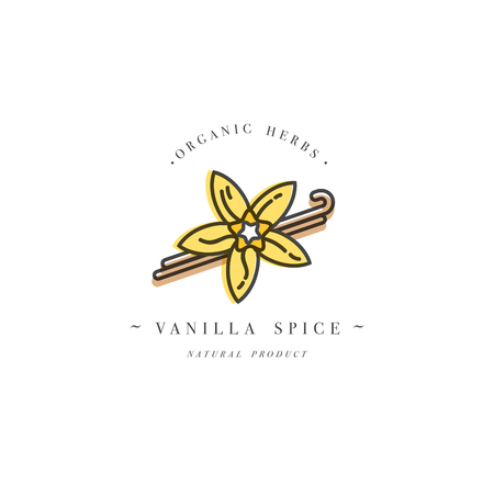 Packaging design template and emblem - herb and spice - vanilla flower and pods. Logo in trendy linear style.のイラスト素材