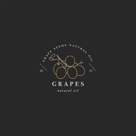 Vector packaging design element and icon in linear style - grape seed oil - healthy vegan food. Logo sign.のイラスト素材