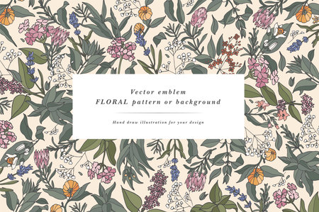 Hand drawn perfumery and cosmetics ingredients banner. Decorative background with vintage aromatic plants, fruits, spices, herbs for perfumery. Organic cosmetics design template. Aromatic plants flyerのイラスト素材