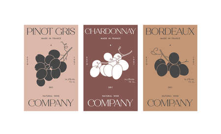 Vector set illustartion design labels for wine. Minimalistic and modern design with grape branch.のイラスト素材