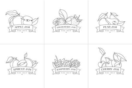Vector illustration set of retro design labels with apple, apricot, pear, strawberry and raspberry, cherry fruits - simple .linear style. Emblems composition with fruits and typographyのイラスト素材