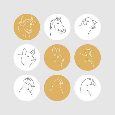 Vector set of linear illustration heads of farm animals isolated in white background.のイラスト素材