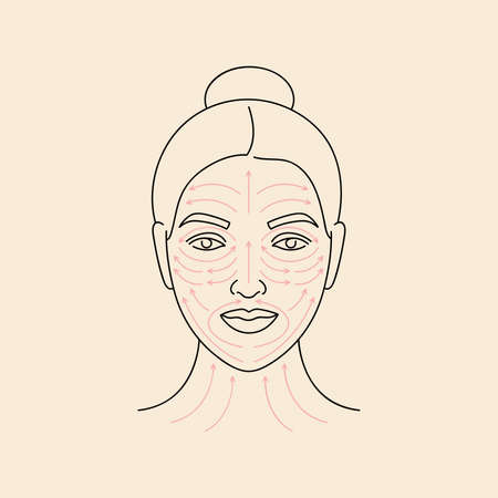 Vector illustration method fo face massage. Female face with arrow lines. Facial beauty treatment.のイラスト素材