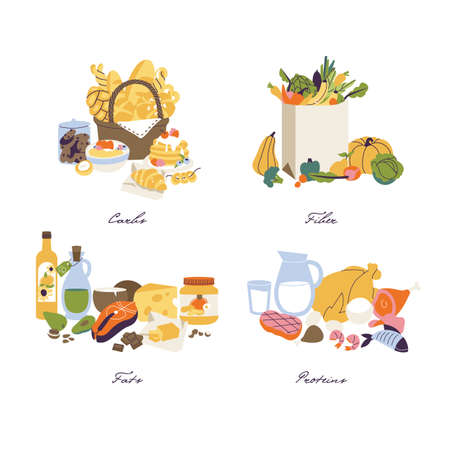 Vector illustration set of nutrition categories macronutrients. Fiber, proteins, fats and carbs illustrates in food products.のイラスト素材