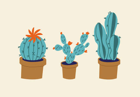 Vector illustration set of different cactuses flowers in pots. Dessert plants.のイラスト素材