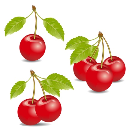 cherryのイラスト素材