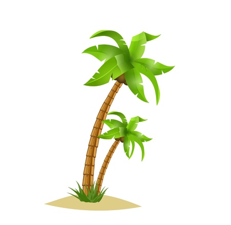 Two bent palm trees isolate on white. Summer team.のイラスト素材