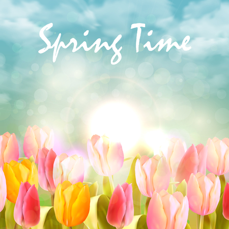 Yellow and pink tulips and sunlight on sky. Spring vector background.のイラスト素材