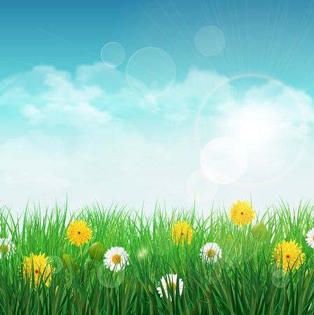 Spring background with green grass and sky, one white daisy and dandelion flower.のイラスト素材