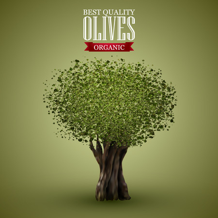 Olive tree on o green background.のイラスト素材
